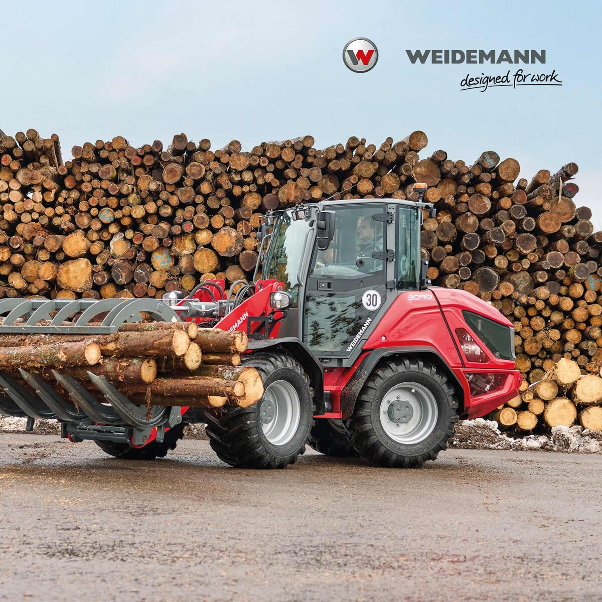 Poster 3090 Holzstämme
